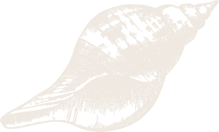 Logo ilustrado en tono crema con forma abstracta.